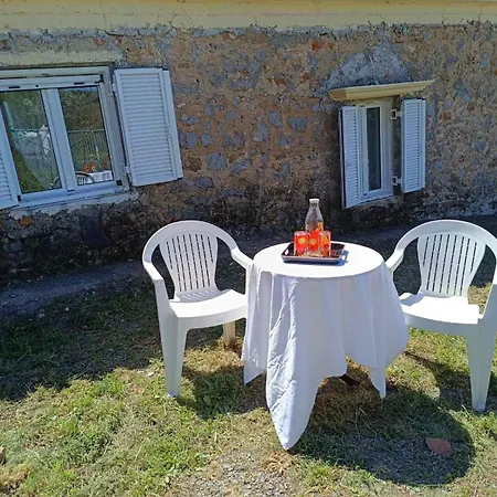 Dina's House