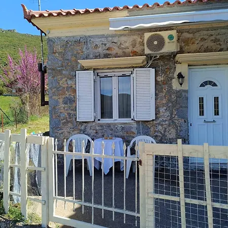 Dina's House *