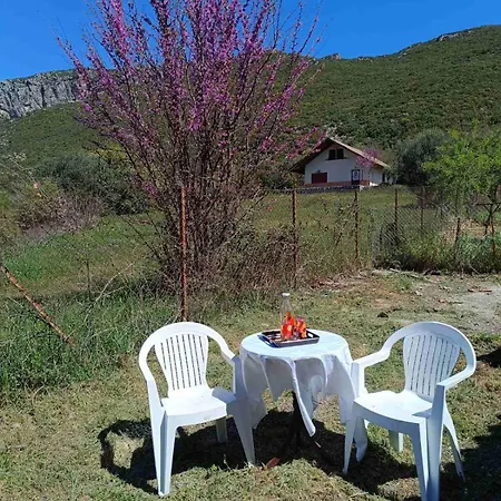 Dina's House